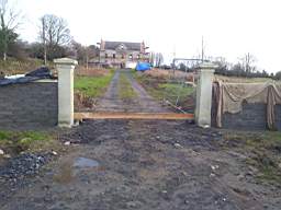 knockduff 20210.jpg