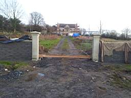 knockduff 20215.jpg