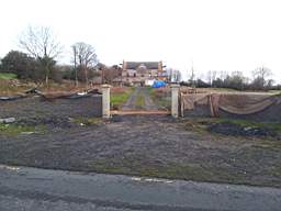 knockduff 20250.jpg