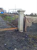 knockduff 20280.jpg