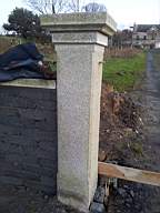 knockduff 20295.jpg