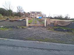 knockduff 20320.jpg
