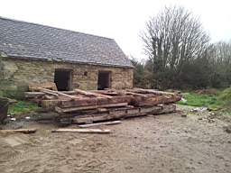 knockduff 20345.jpg
