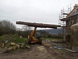 knockduff 20350.jpg
