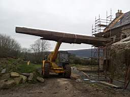 knockduff 20355.jpg