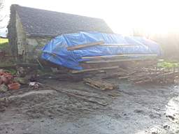 knockduff 20365.jpg