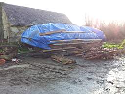 knockduff 20375.jpg
