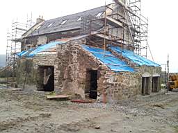 knockduff 20400.jpg