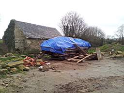 knockduff 20405.jpg