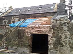 knockduff 20420.jpg