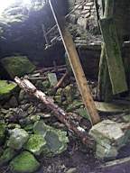 knockduff 20425.jpg