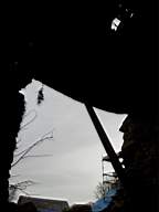 knockduff 20430.jpg