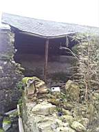 knockduff 20435.jpg