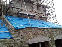 knockduff 20440.jpg