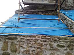 knockduff 20445.jpg
