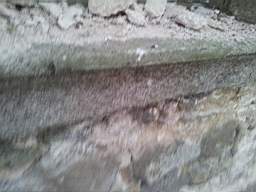 knockduff 20485.jpg