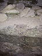 knockduff 20495.jpg