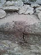 knockduff 20500.jpg