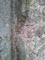 knockduff 20535.jpg
