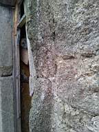 knockduff 20545.jpg
