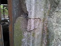 knockduff 20550.jpg