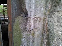 knockduff 20555.jpg