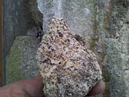 knockduff 20565.jpg