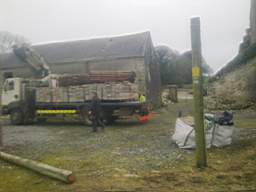 knockduff 5115.jpg