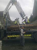 knockduff 5135.jpg