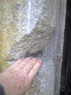 knockduff 5460.jpg