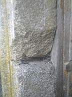 knockduff 5470.jpg