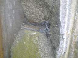 knockduff 5475.jpg