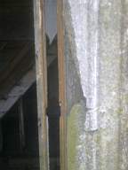 knockduff 5480.jpg