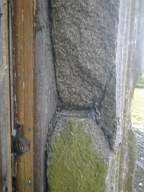 knockduff 5490.jpg