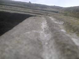 knockduff 5505.jpg
