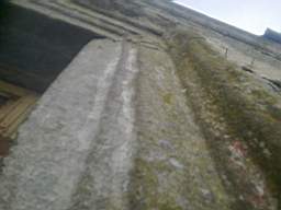 knockduff 5510.jpg
