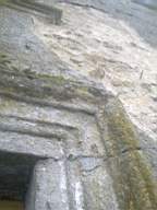 knockduff 5520.jpg