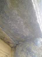 knockduff 5525.jpg