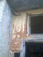 knockduff 5530.jpg