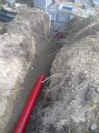knockduff 5560.jpg