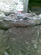 knockduff 5685.jpg