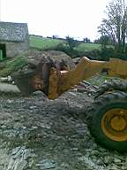 knockduff 5690.jpg