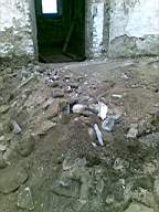 knockduff 5710.jpg