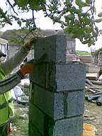 knockduff 5830.jpg