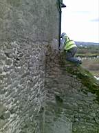 knockduff 5865.jpg