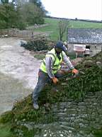 knockduff 5870.jpg