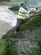knockduff 5875.jpg