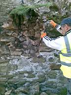 knockduff 5880.jpg