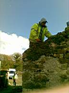 knockduff 5895.jpg