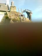 knockduff 5910.jpg